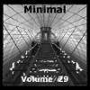 Minimal Volume 29